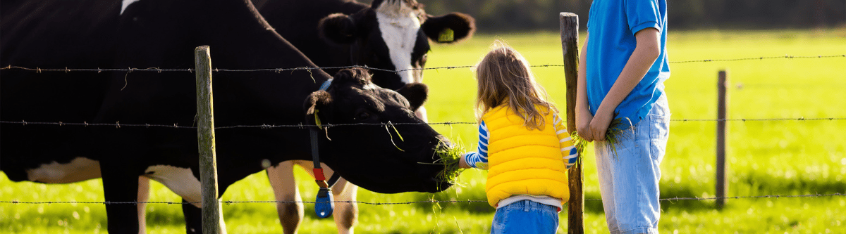 landing page Banner2